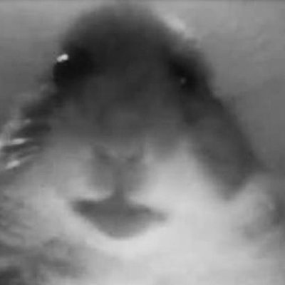 Profile Picture of Sonny Phillips (@SonnyPhillips16) on Twitter