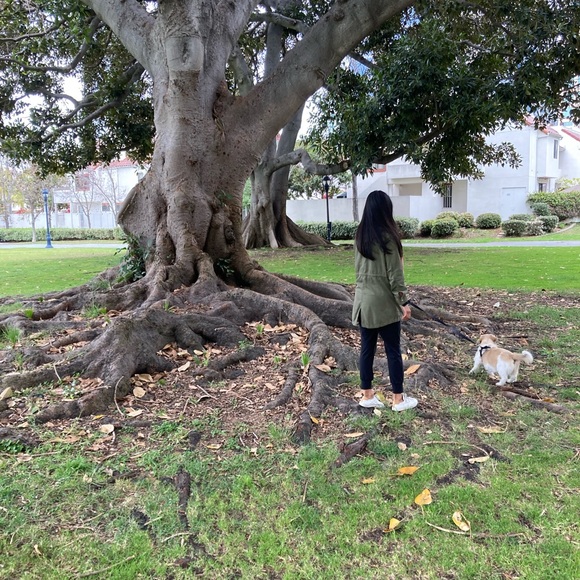 Profile Picture of Kevin Qin (@kqin3455) on Poshmark