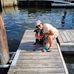 Profile Picture of Jean Carlson (@jean.carlson.79) on Facebook