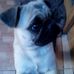 Profile Picture of Benja Alfaro (@benja.alfaro.5473) on Facebook