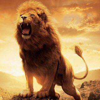 Profile Picture of James Kern (@james.kern.3388) on Facebook