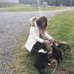 Profile Picture of Kim Armstrong (@kimdarlenearmstrong) on Instagram