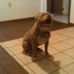 Profile Picture of Barry Jessee (@barry.jessee.946) on Facebook