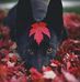 Profile Picture of Matt Bohnert (@matt.bohnert.501) on Facebook