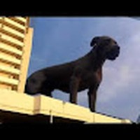 Profile Picture of Alex Oviedo (@alex-oviedo-20) on Quora