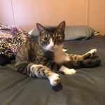 Profile Picture of James Sickles (@storm_enjoyer) on Instagram