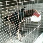 廖國州 - Instagram Profile Picture of 廖國州 (@kuochou67) on Instagram