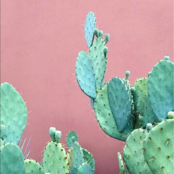 Profile Picture of Jake Elizondo (@elizondo4) on Poshmark