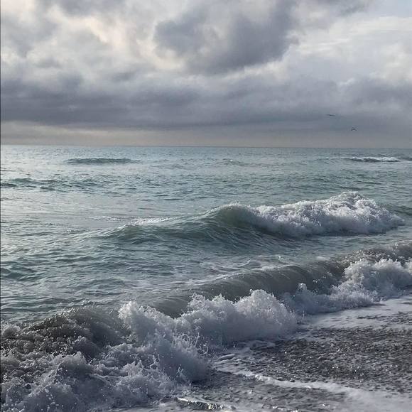 Profile Picture of Catherine Ivy (@civy03) on Poshmark