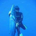 Profile Picture of Mike Hirsch (@mike_hirsch_esq) on Instagram
