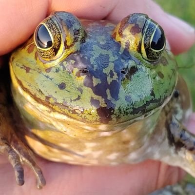 Steven Zager  🇺🇸 - Twitter Profile Picture of Steven Zager  🇺🇸 (@stevenzager35) on Twitter