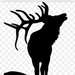 Profile Picture of Kyle Elkins (@elk_ridge) on Instagram