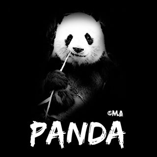 Profile Picture of Benjamin Camarillo (@benjamin.camarillo.35) on Facebook