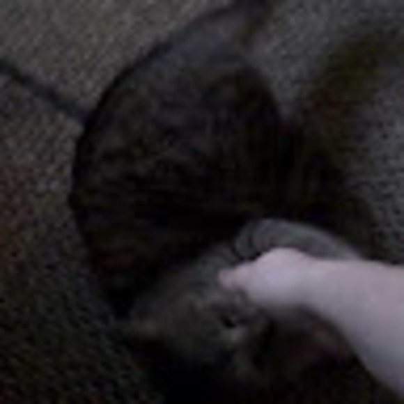 Profile Picture of Michael Moshier (@bigmikekm72) on Poshmark