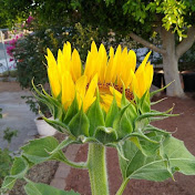 Profile Picture of Lore Perez (@loreperez6704) on Youtube