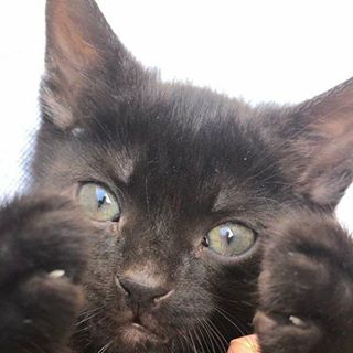 Miruna Radulescu - Facebook Profile Picture of Miruna Radulescu (@miruna.radulescu.54) on Facebook