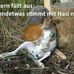Profile Picture of Karl Meyer (@karl.meyer.946) on Facebook