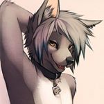 Profile Photo of Bryan (@bryanfurry82) on Instagram