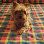 Profile Picture of Margot (@robertacerrato79) on Instagram