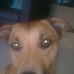 Profile Picture of Barney Barron (@barney.barron.31) on Facebook