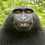 Profile Picture of David Haase (@david.haase.3597) on Facebook