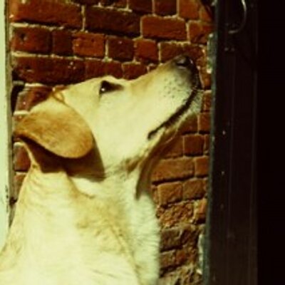 Michael Staines - Twitter Profile Picture of Michael Staines (@parlett24) on Twitter