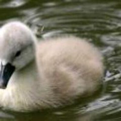 Profile Picture of Ted Hacker (@TedHacker1) on Twitter