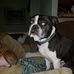 Profile Picture of Jason Furbee (@jason.furbee.3) on Facebook