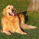 Erica R. Trammmell - Instagram Profile Picture of Erica R. Trammmell (@erica.trammell) on Instagram