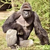 Profile Picture of Sam.Epstein (@@sam.epstein) on Tiktok