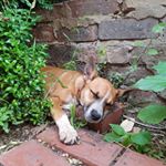 Profile Picture of Peggy Grantham (@peggy_grantham) on Instagram