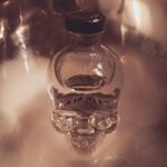 Profile Picture of Dennis Dotterweich (@dotterweichdennis) on Instagram