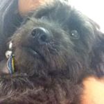 Profile Picture of Thor Sinclair Dillan Marley (@pretineothor) on Instagram