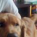 Profile Picture of Buddy McGraw (@buddy.mcgraw.1) on Facebook