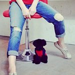 rachel - Instagram Profile Picture of rachel (@stephenrahel) on Instagram