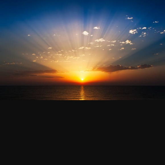 Profile Picture of Mary Lonis (@maryann216) on Poshmark