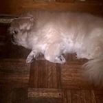 Profile Picture of Michael Mcquarrie (@mcquarrie.michael) on Instagram