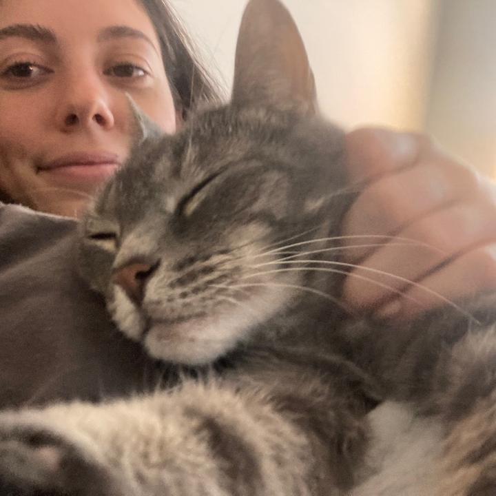 Profile Picture of Lucie Freeman (@lucie.ef) on Tiktok