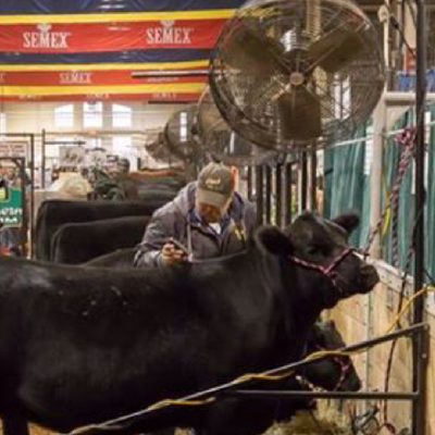 Profile Picture of Chad Homer (@@PinchHill) on Twitter