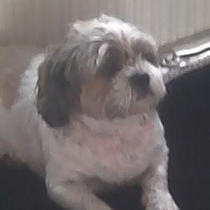 Profile Picture of Andy Swiderski (@andyswiderski) on Twitter