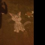 Profile Picture of everett_peters (@everett_peters) on Instagram