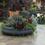 Profile Picture of Tracie (@tschneider486) on Instagram