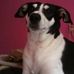 Profile Picture of Alexandera Teernstra (@alexandera.teernstra) on Facebook
