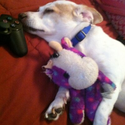 Profile Picture of Casey Patten (@patten_casey) on Twitter