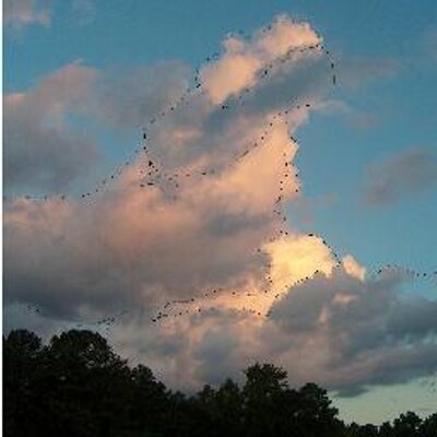 Profile Picture of Gail Poole (@MistyMcMorph) on Twitter