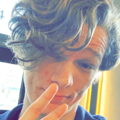 Profile Picture of Alex Van Liew (@_snoozbuster) on Twitter