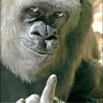 Profile Picture of David Pietruska (@jennifer.pietruska) on Facebook