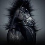Profile Picture of Roxanne Sampson (@the_name_roxxy) on Instagram