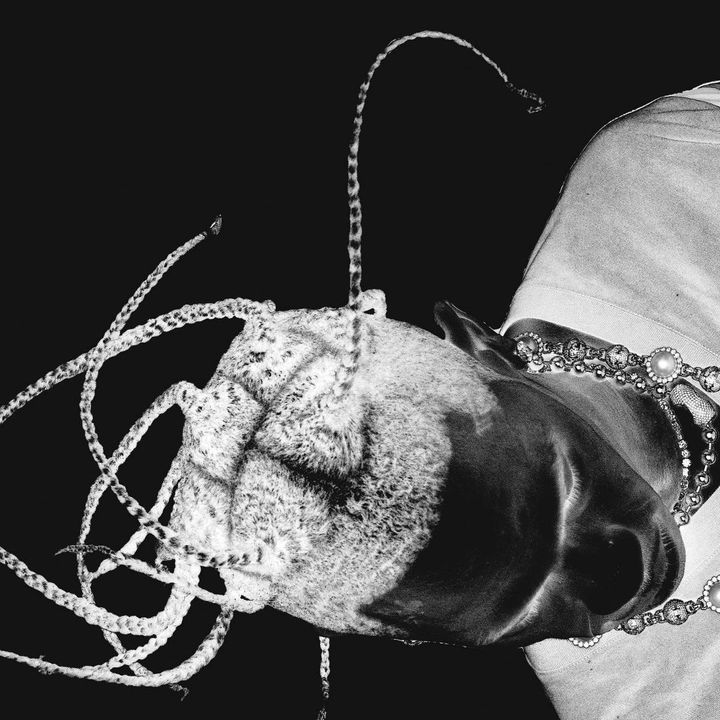 David Rossiter - Tiktok Profile Picture of David Rossiter (@davidrossiter) on Tiktok