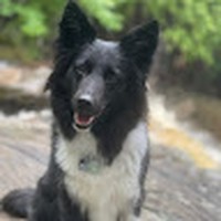 Profile Picture of Tracey Covell (@tracey-covell-2) on Quora